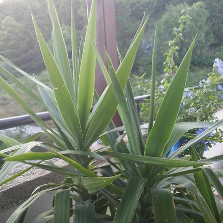 Apartments Vinko สปลิท ภายนอก รูปภาพ